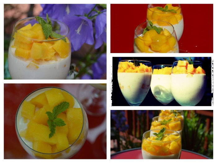 Mango Panna Cotta