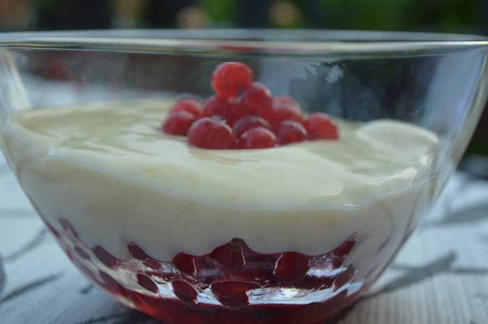 vanilla pudding with red currants