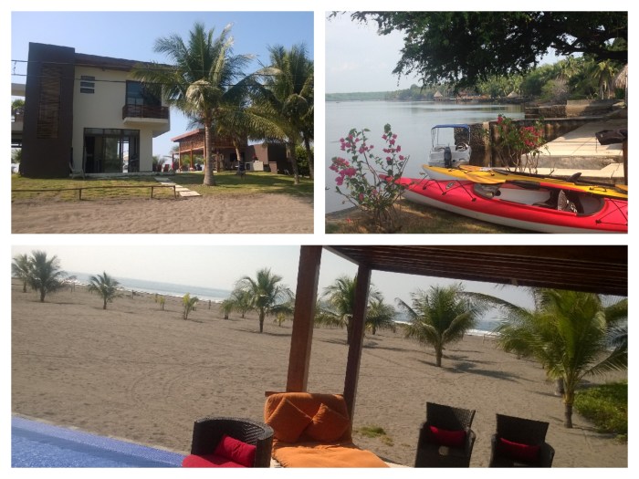 estuary and ocean view