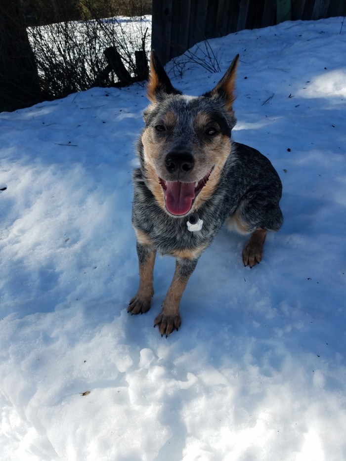 Resized_20190125_121925_2343