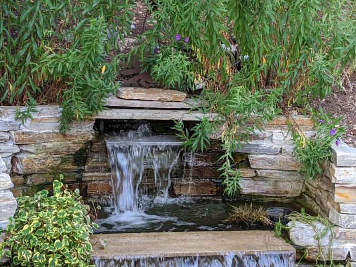 MVIMG_20200805_182513