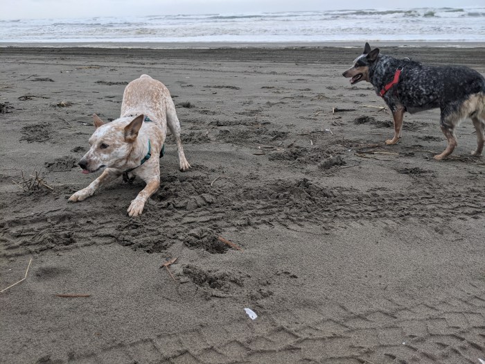 PXL_20210130_215259777.MP