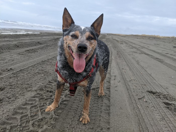 PXL_20210130_215735535